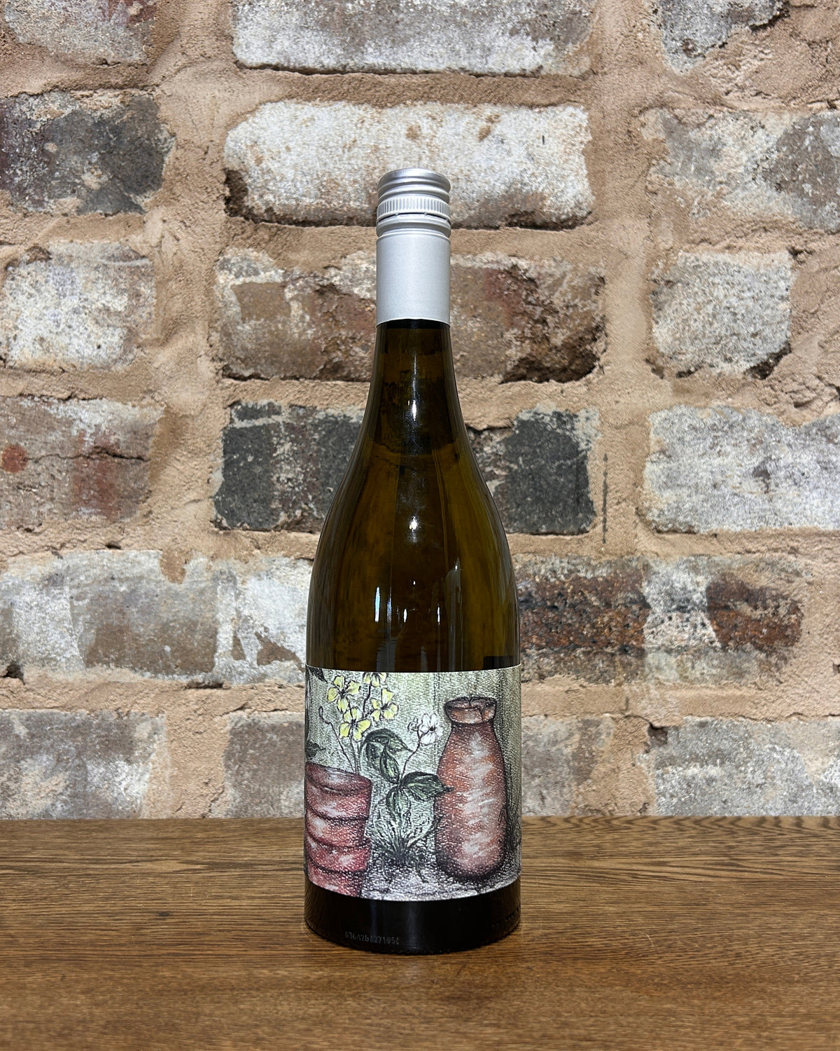 Vino Bianco (2026)